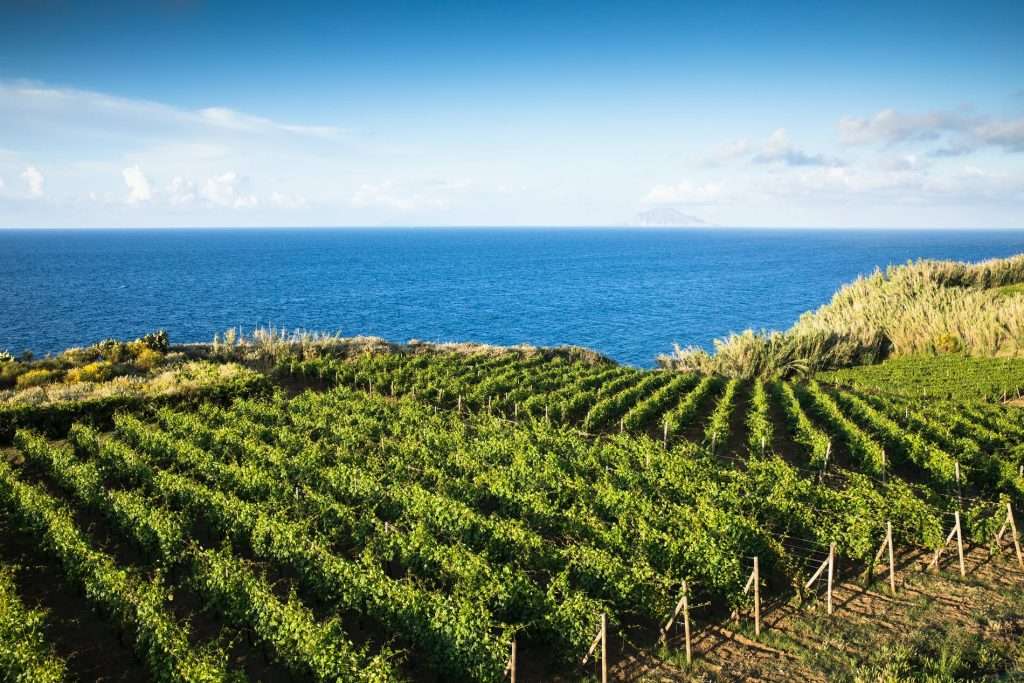 Cantine Isole