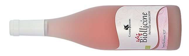 Eughenes Perricone e Biollicine, un bianco e un rosé, di Cantine Europa vini espressivi 3 biollicine rose europa e1624425221948