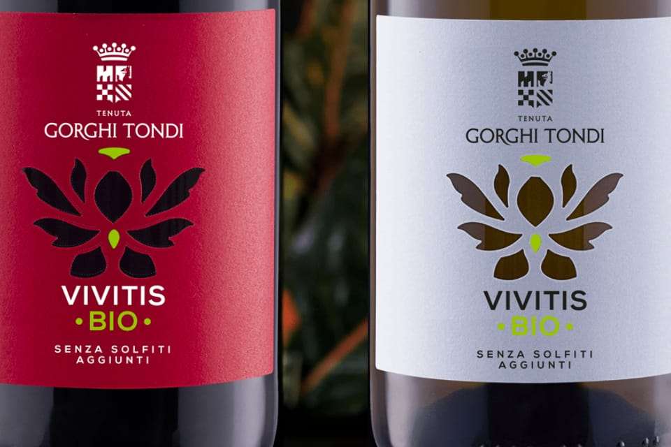 Vivitis Bio 2018 di Gorghi Tondi. Un Nero d’Avola ed un Grillo senza solfiti aggiunti Vititis Bio