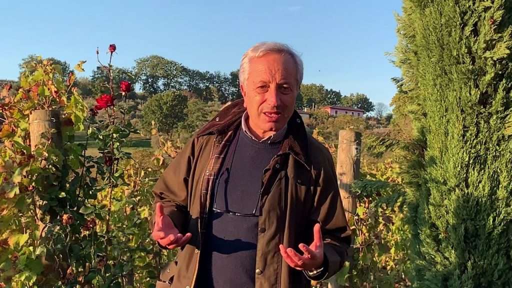 Luigi Moio è il nuovo presidente OIV: tracciato il percorso per la rivoluzione sostenibile merano