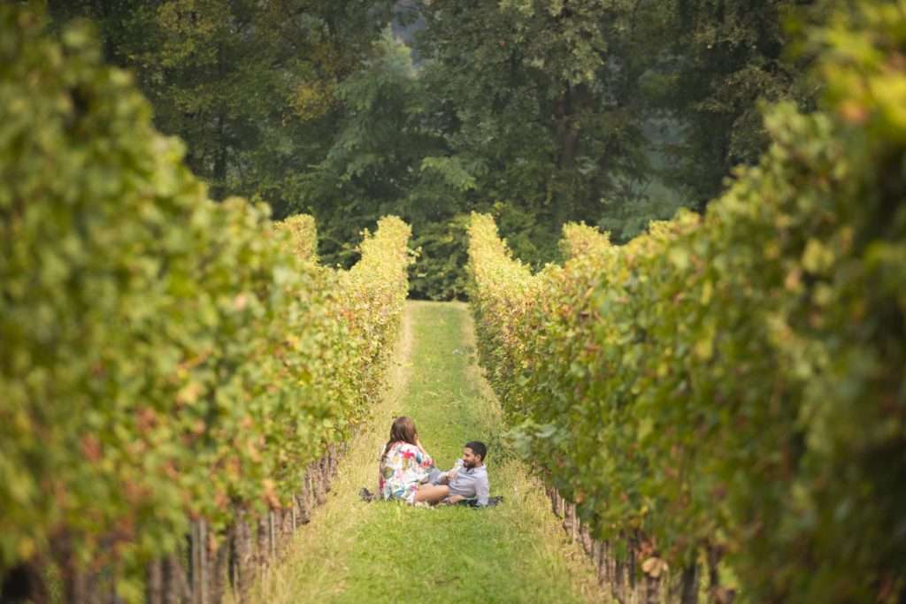 Dolce Autunno alla scoperta dei vigneti della Franciacorta, Grada e Valle Camonica 01 Franciacorta