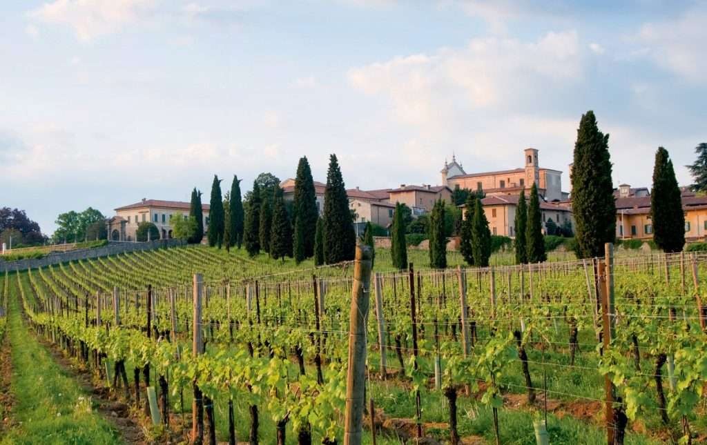 02 Franciacorta Vineyards in Erbusco e1630771777760