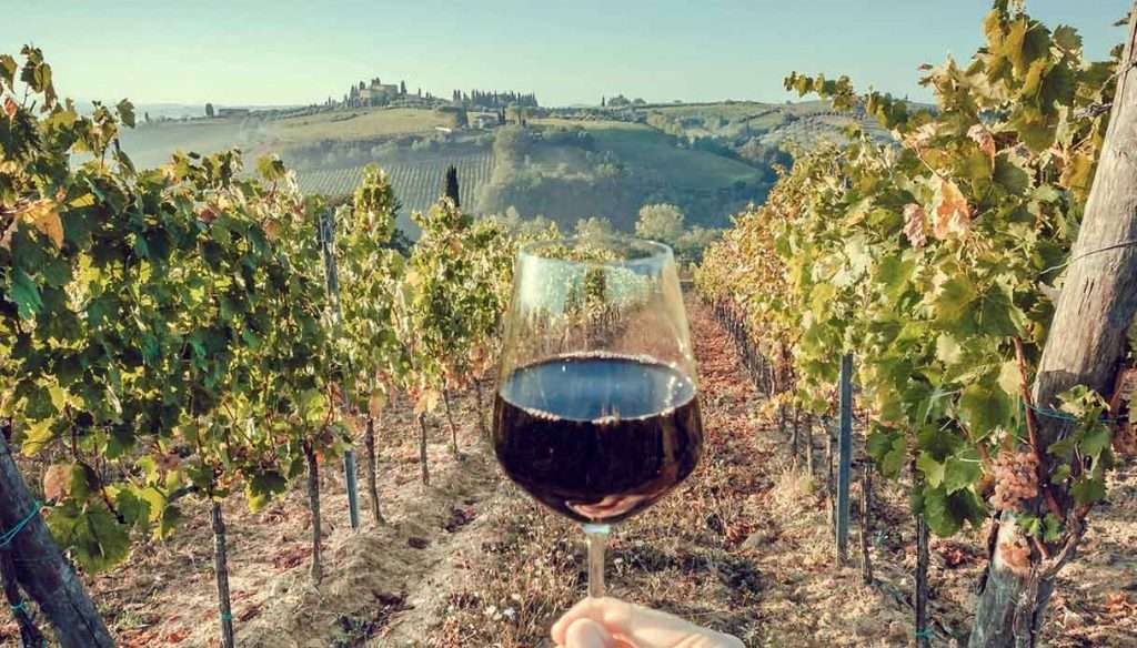 New York Times inserisce 2 vini italiani tra i migliori vini più economici al mondo vino 1