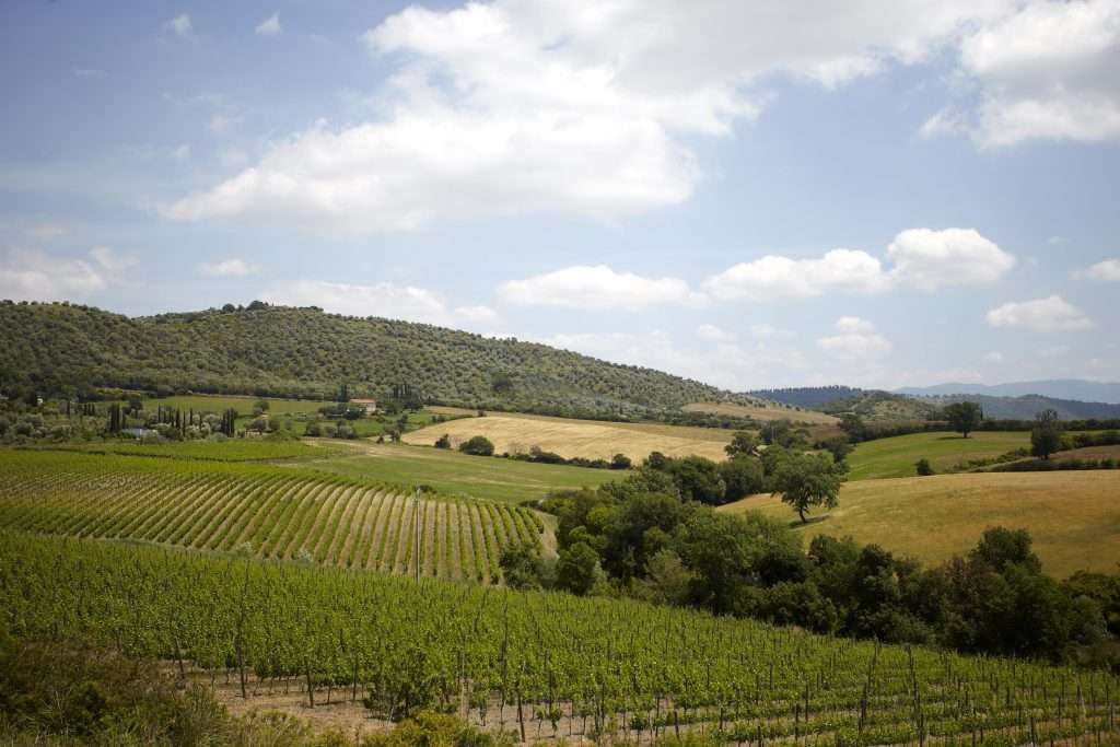 Montecucco, un territorio a vocazione green da esempio per la Toscana montecucco