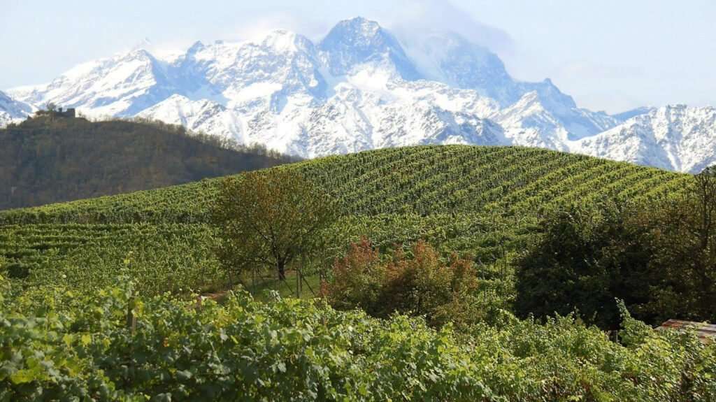 alto piemonte 2