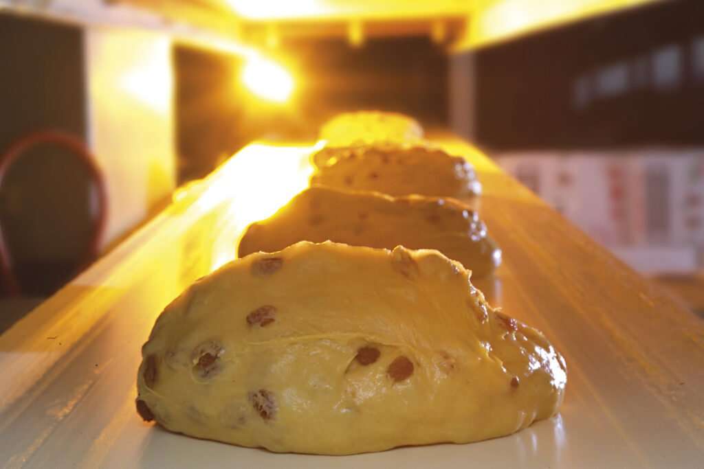panettone prima della cottura 1