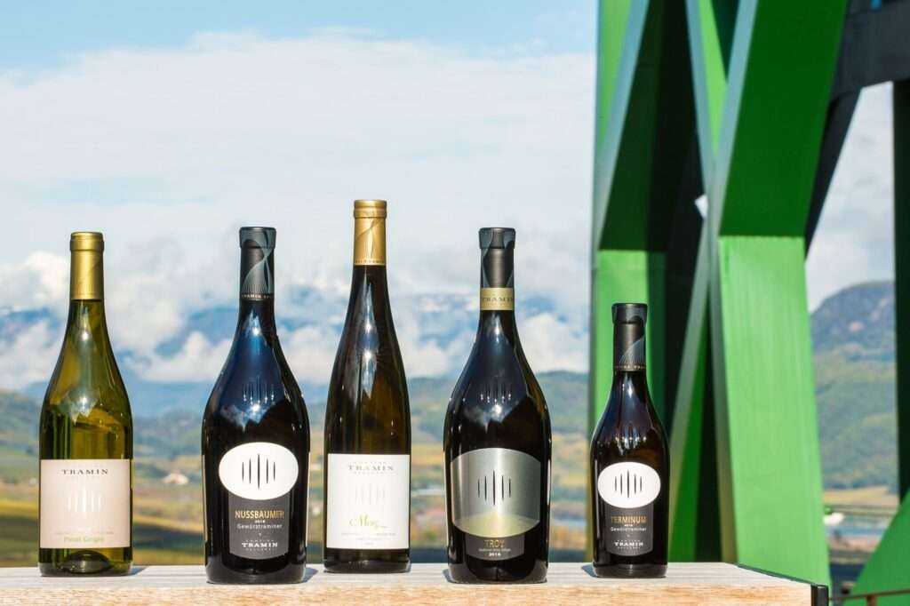 Cantina Tramin, bilancio ‘21: vola lo Chardonnay, primato Gewürztraminer 116413529 3154287957972673 8474607989282389106 n
