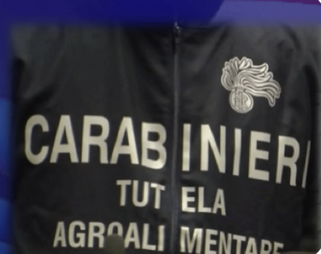 Dop tarocche, Carabinieri smascherano frodi in tutta Italia carabinieri