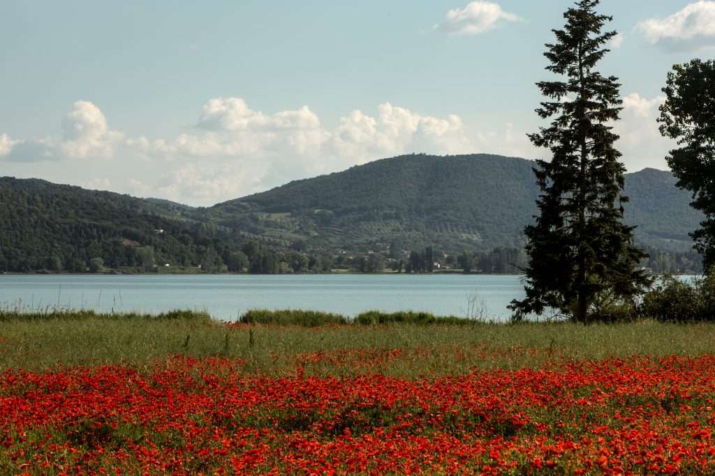 Anteprima Trasimeno 2022: al via la prima edizione Consorzio Tutela Vini Doc Colli del Trasimeno 2