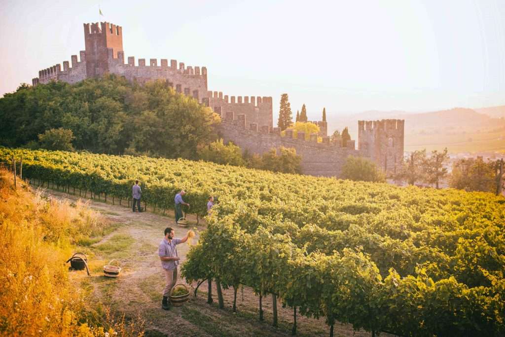 Soave, con Inspiring PR dall’impronta verde all’impronta gentile Soave colline Giahs FAO