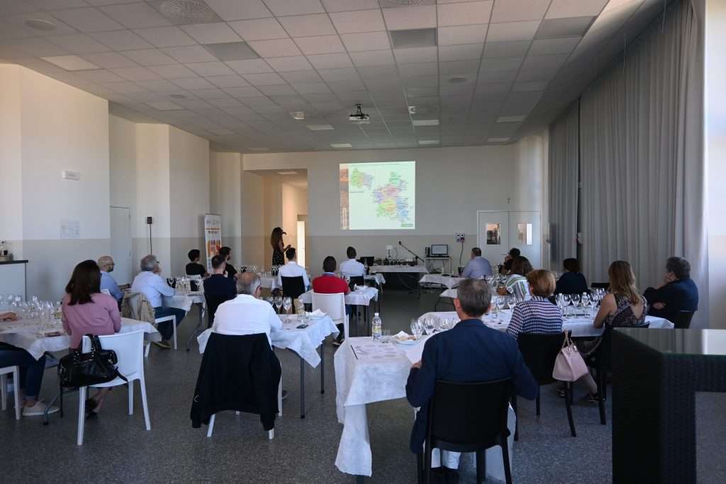 Prosecco incontra Champagne: differenze e affinità 8bbdcea0 937a 3b4d 43fb aeefad15f7ae