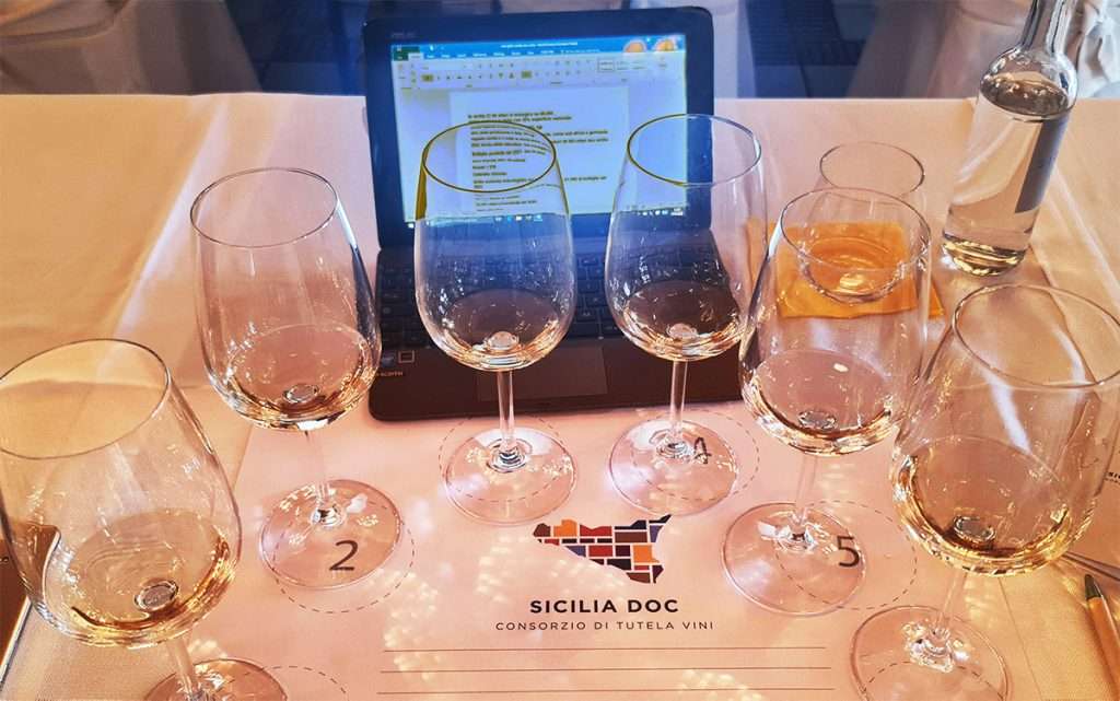 Discovery grillo tasting