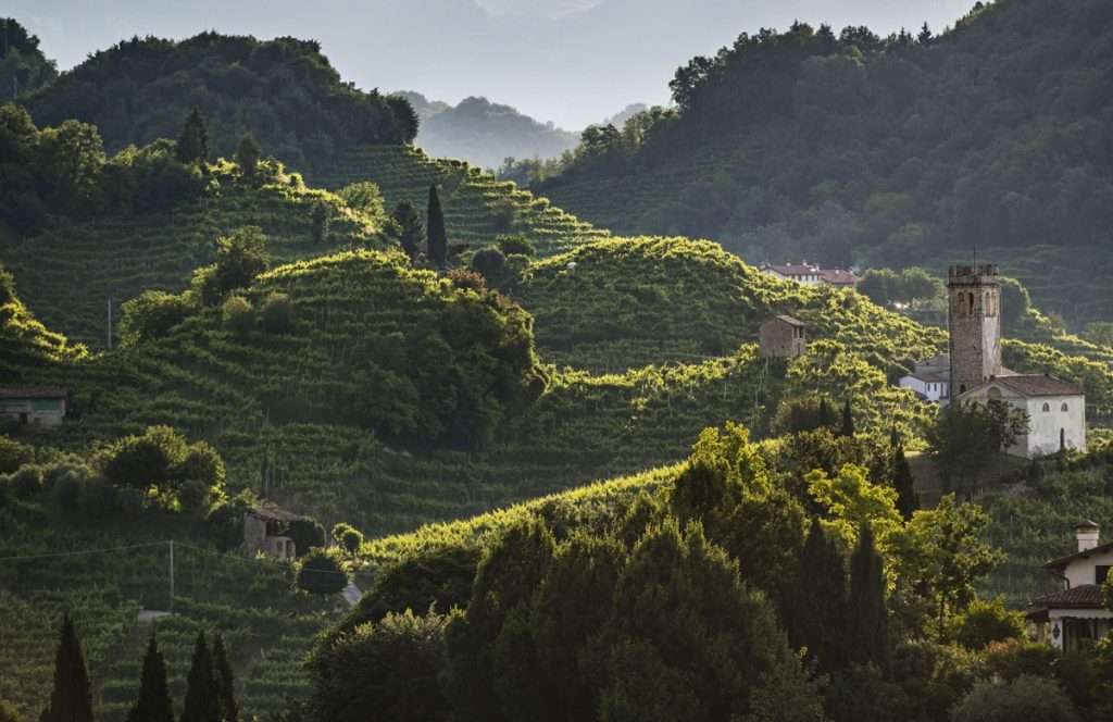 Il territorio del Conegliano Valdobbiadene sarà presto un Biodistretto Conegliano Valdobbiadene