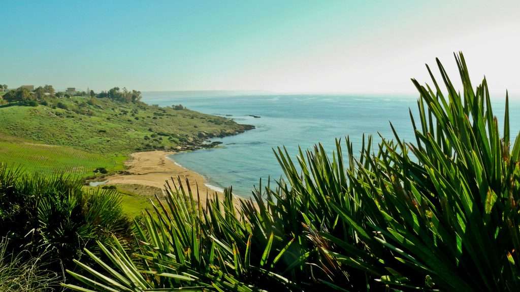 La Città Italiana del Vino 2023 è un Comune siciliano, in provincia di Agrigento Menfi