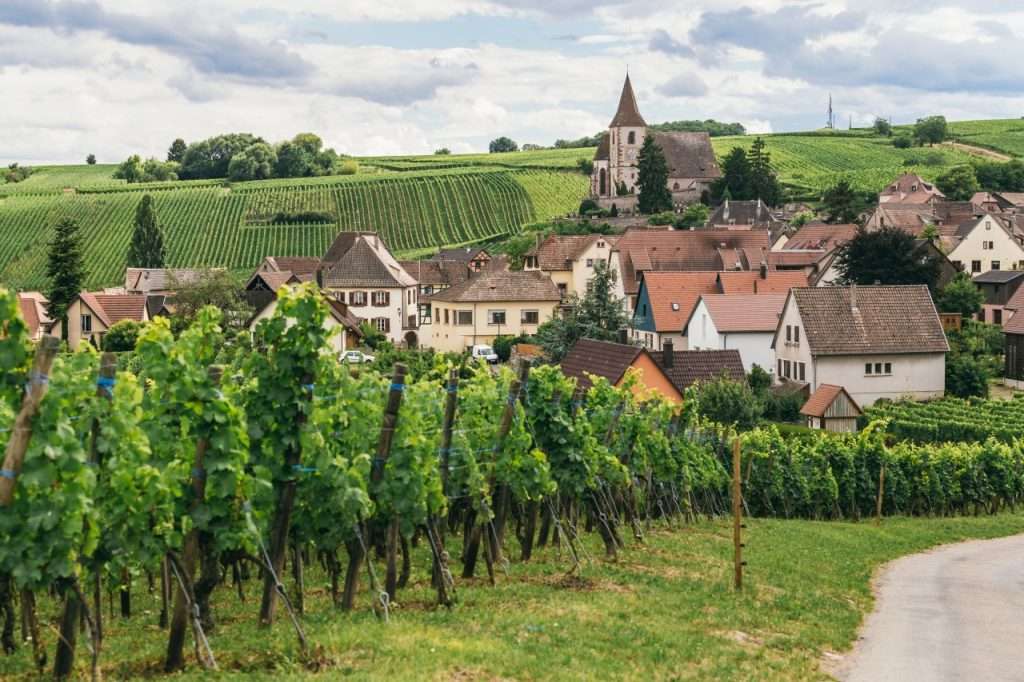 borgogna vini francia