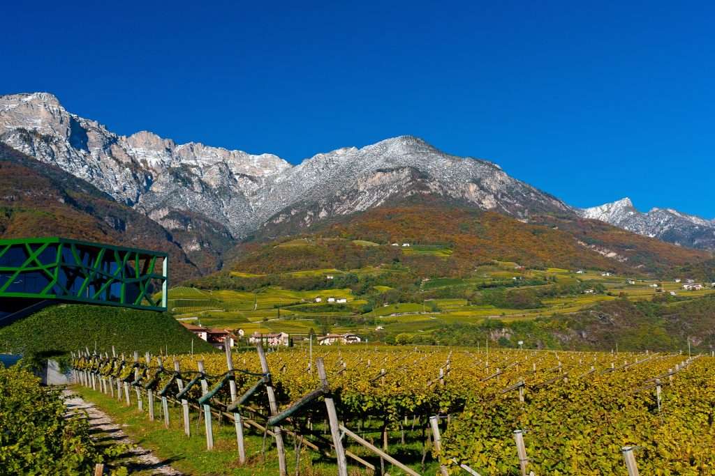 cantina tramin