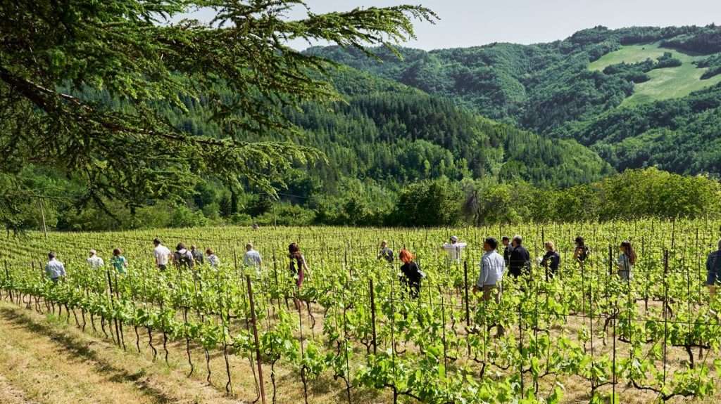 romagna