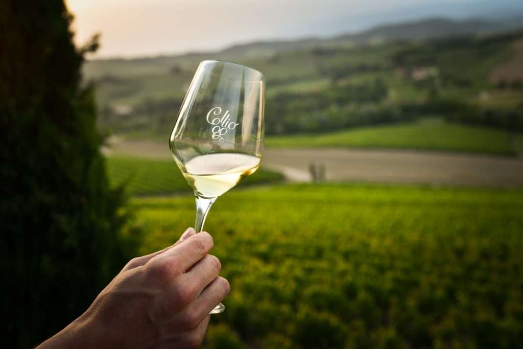 COLLIO