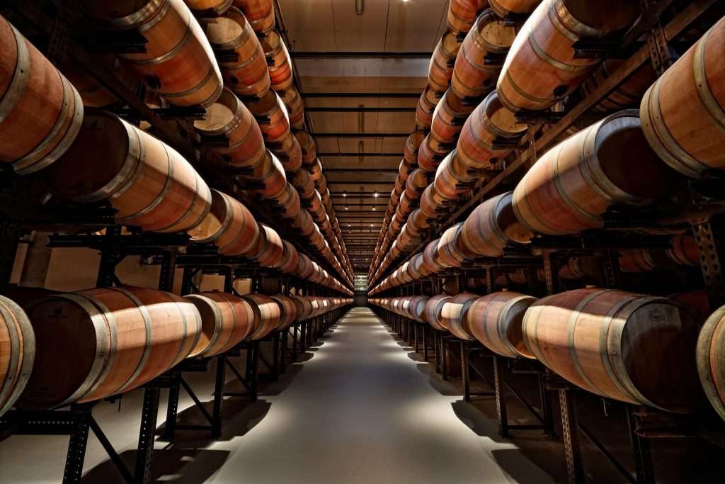 La sostenibilità nel mondo del vino. Alla scoperta di sei cantine green e all’avanguardia 120194083 3272616139503269 5182027876519868754 n 1