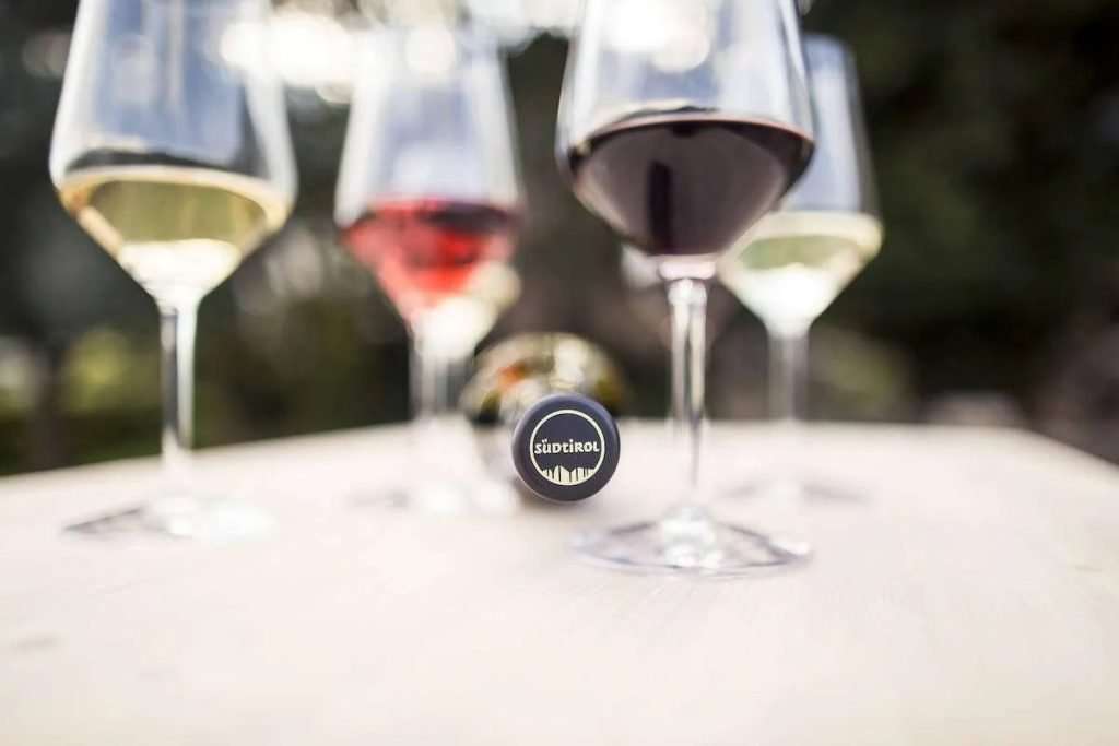 Il Consorzio Vini Alto Adige presenta l’annata 2022, protagonisti vini bianchi e rossi d’eccellenza Consorzio Alto Adige
