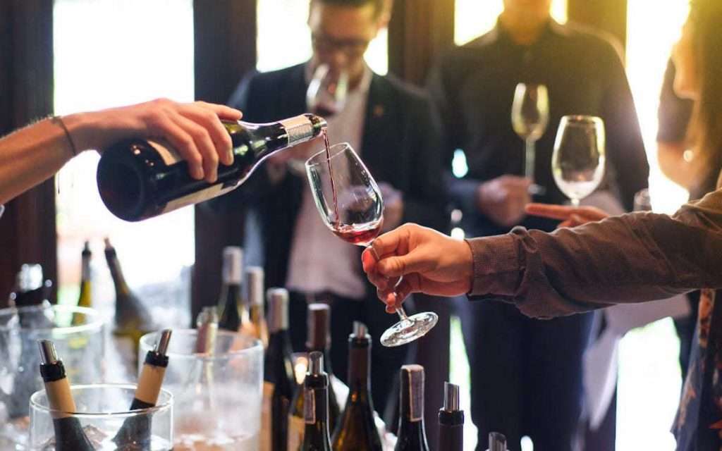 barolo 11zon