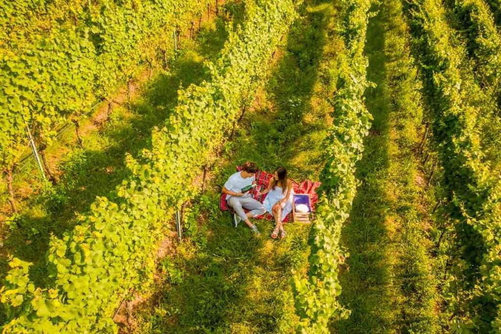 Gemme di Gusto in Trentino, gli appuntamenti dedicati al buon vino e al buon cibo GemmeDiGusto FototecaMasDeiChini FOTO