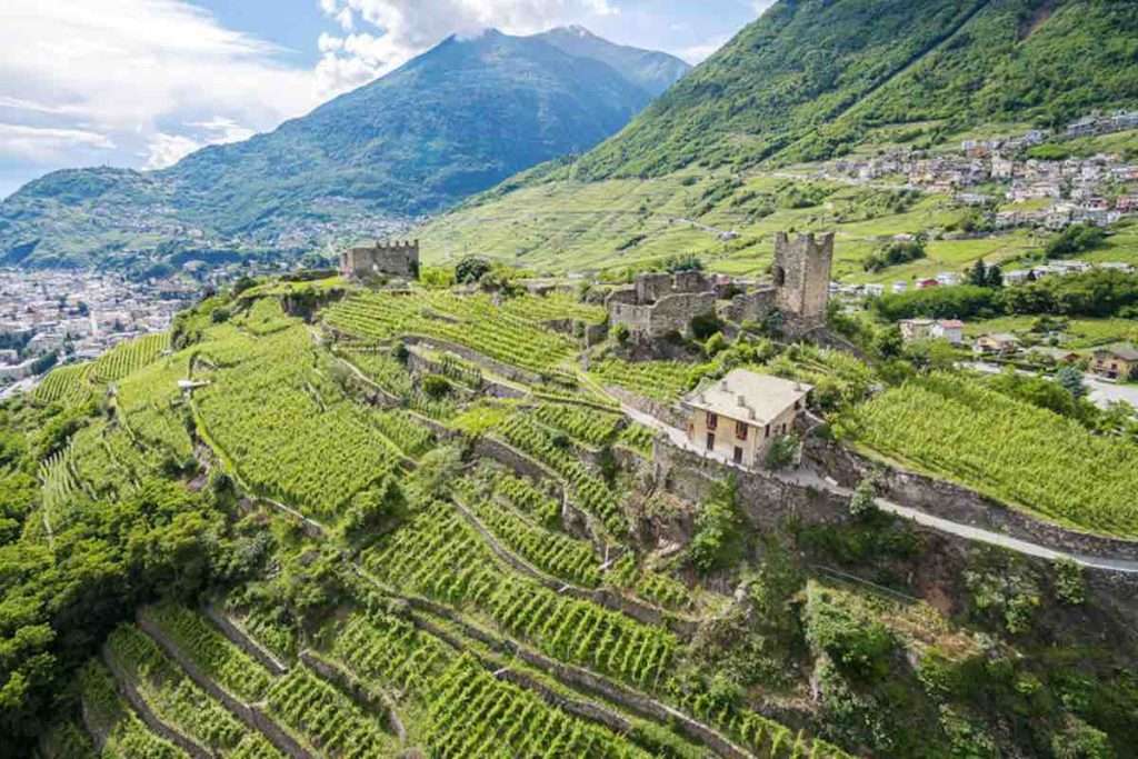 Vigneti della Valtellina vino
