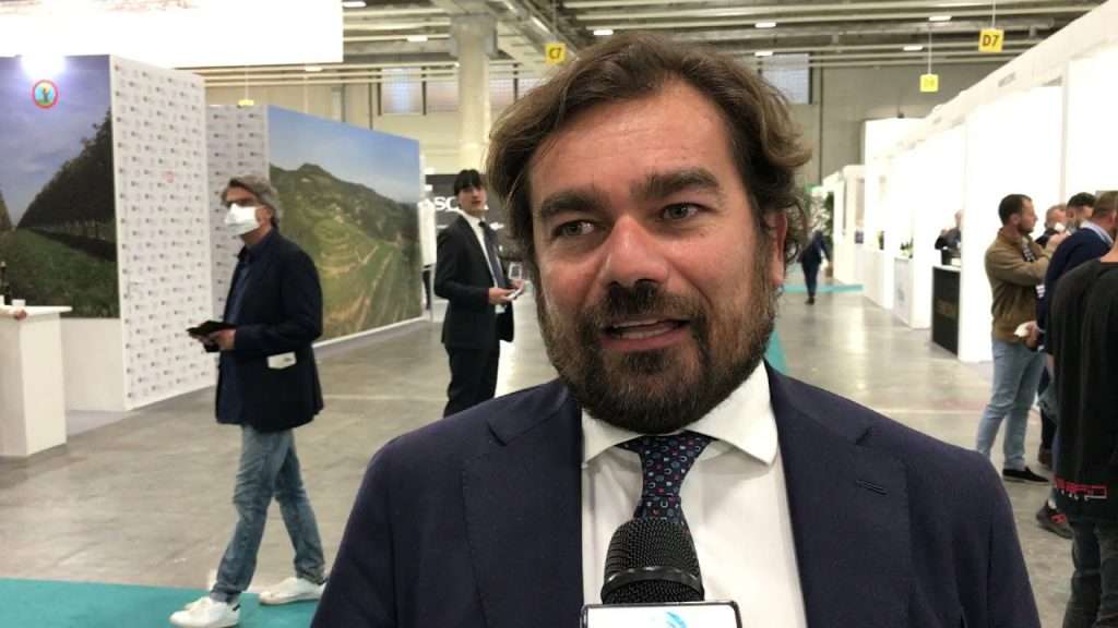 Matteo Gelmetti, Vicepresidente di Veronafiere: «Bilancio da record per Vinitaly 2023» gelmetti