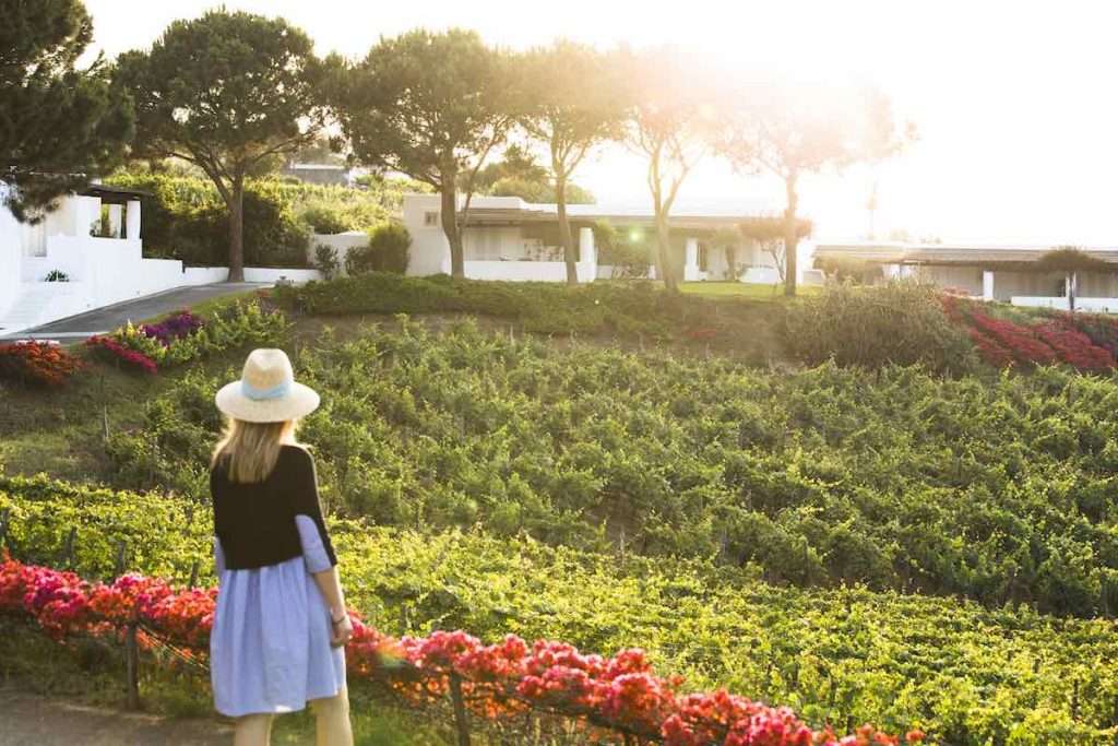 Tasca d’Almerita annuncia la riapertura della stagione di Capofaro Locanda & Malvasia Capofaro Locanda foto tasca dalmerita