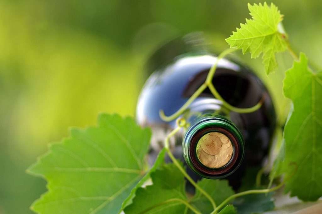 La scelta sostenibile e di qualità dei consumatori nel settore vitivinicolo La scelta sostenibile e di qualita dei consumatori nel settore vitivinicolo