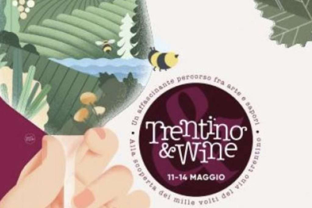 TRENTINO WINE