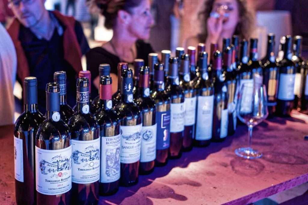 trentinowinefest teroldego