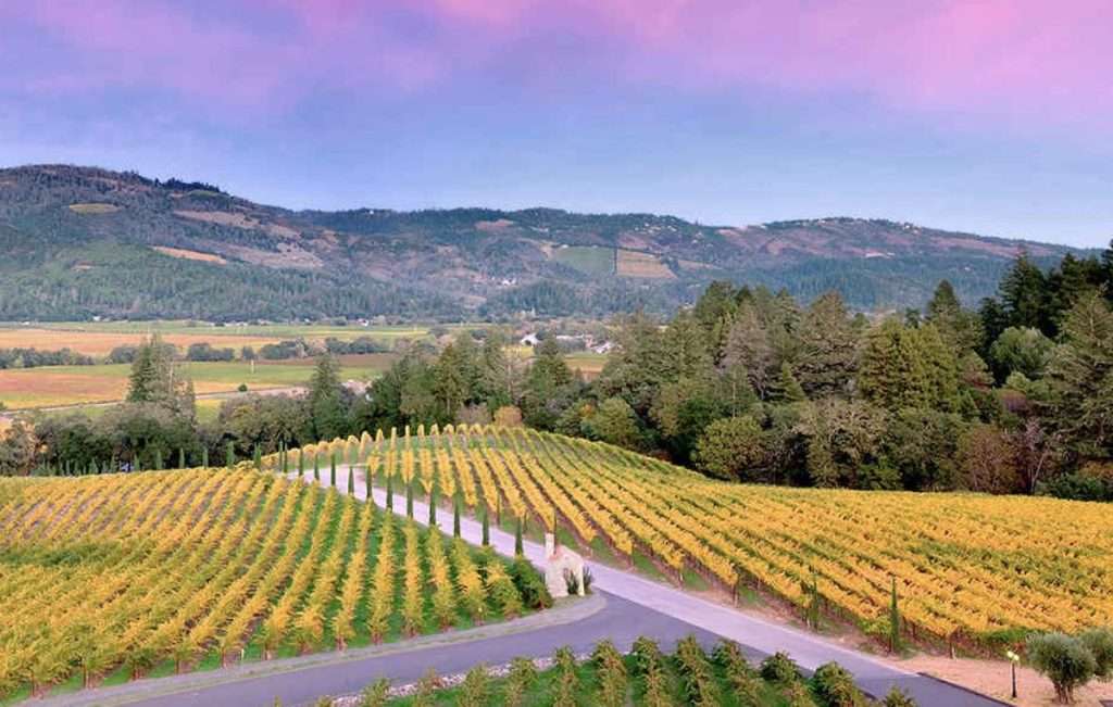 La classifica delle 20 migliori destinazioni enologiche del mondo Napa Valley