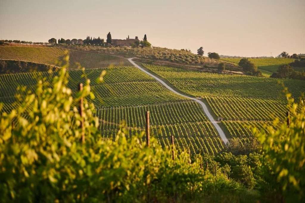 Il Consorzio Barbera d’Asti protagonista del progetto di sperimentazione NoviAgri Piemonte