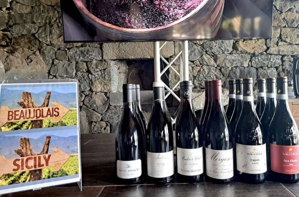 Beaujolais e Sicilia, un viaggio alla scoperta di vini legati all’intraprendenza di grandi vignaioli beaujolais deg