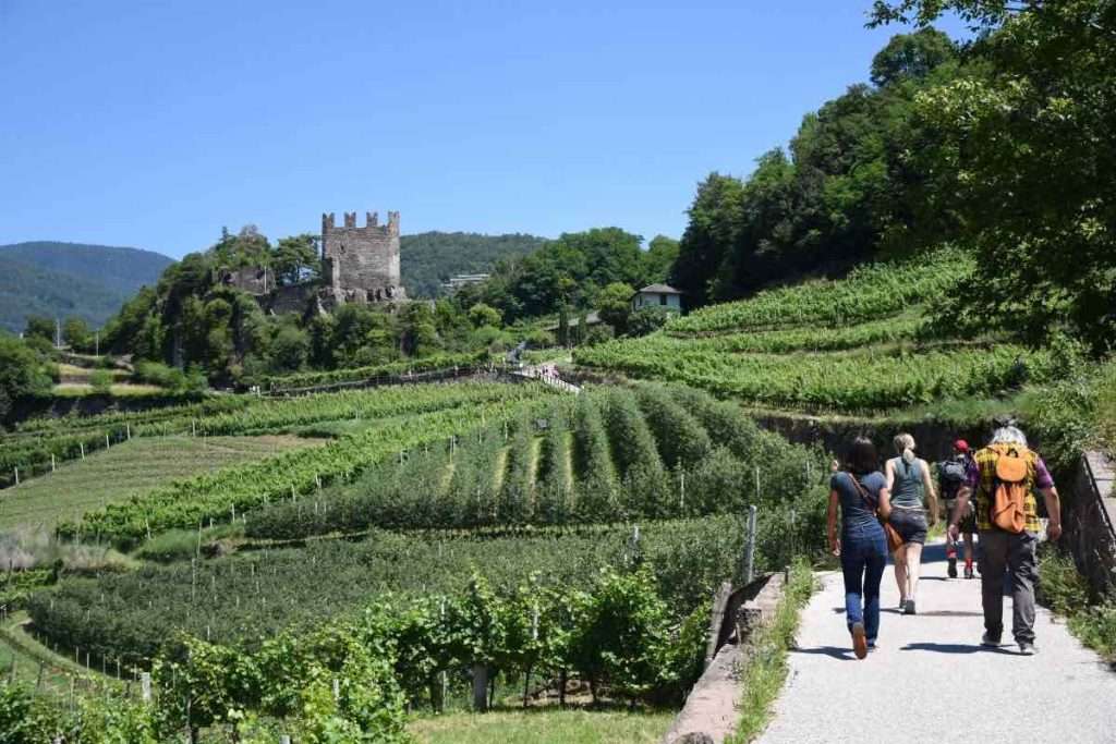 cembra trekking