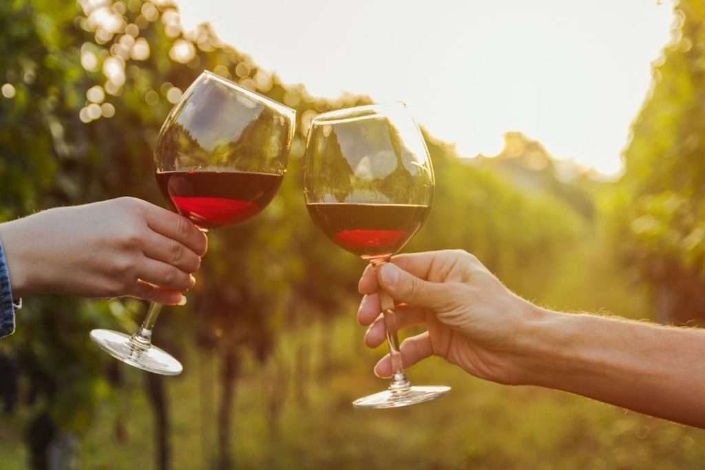 Marche diWine, l’evento dedicato all’eccellenza vitivinicola regionale degustazione