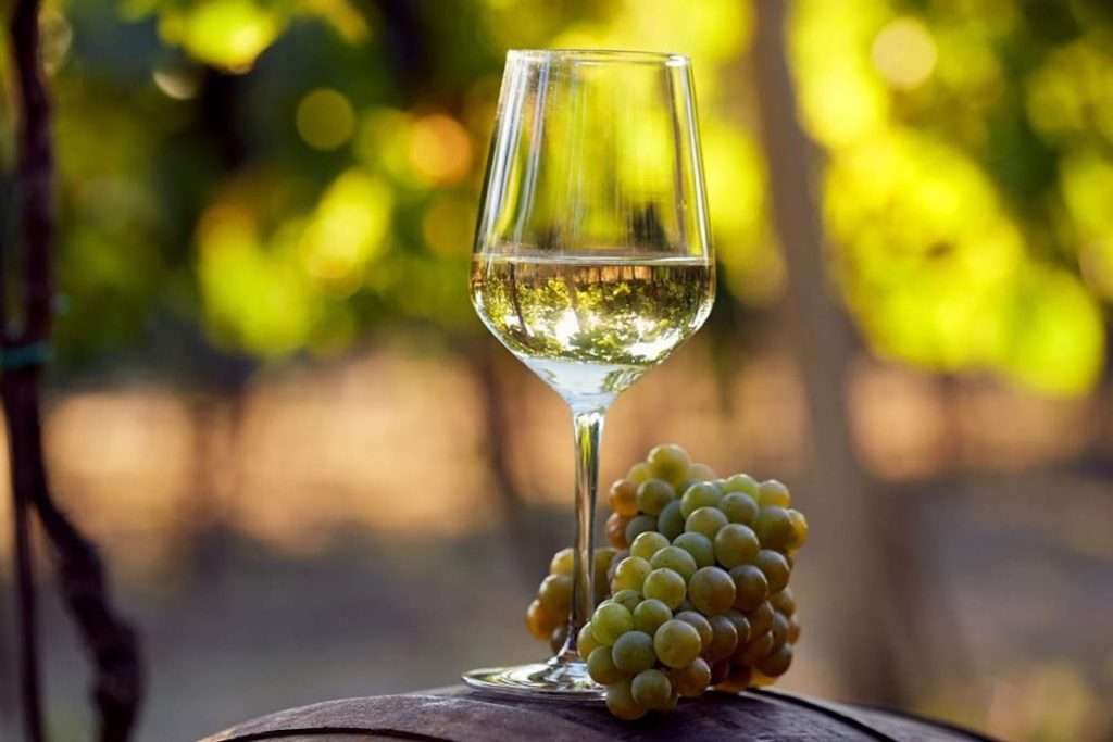 malvasia