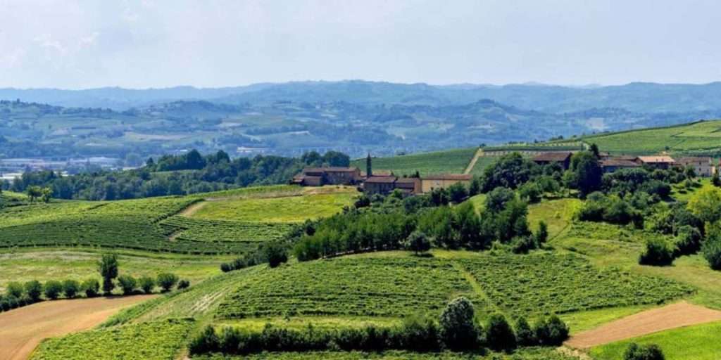 Monferrato Identity, un progetto di valorizzazione del territorio e delle sue eccellenze monferrato