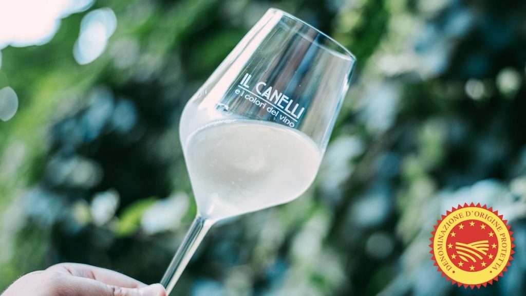 Canelli Dop, riconosciuta ufficialmente una nuova denominazione di vino piemontese 1cCanelli DOP