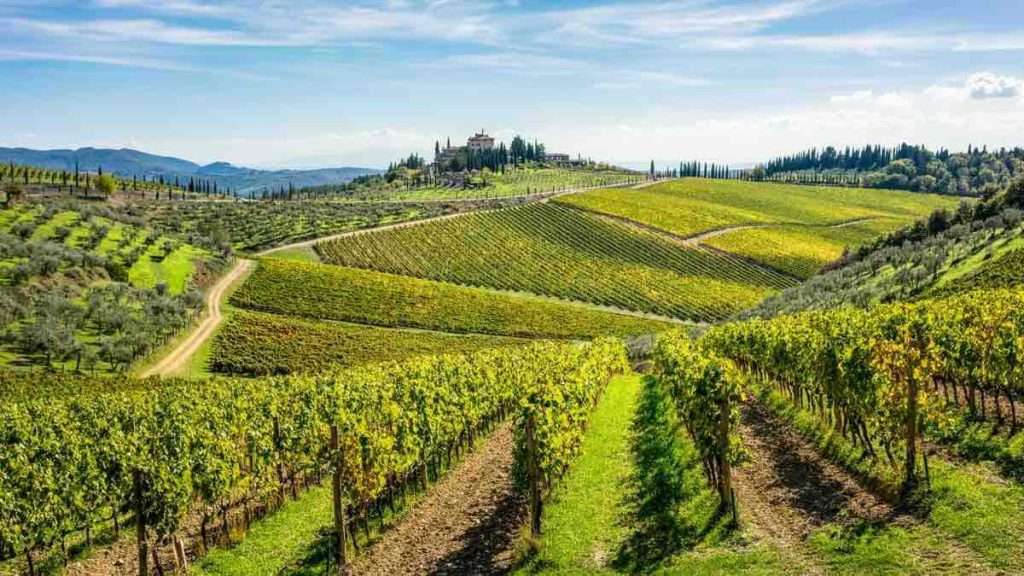 Chianti Classico Docg, approvate le modifiche al disciplinare Chianti zona del Chianti