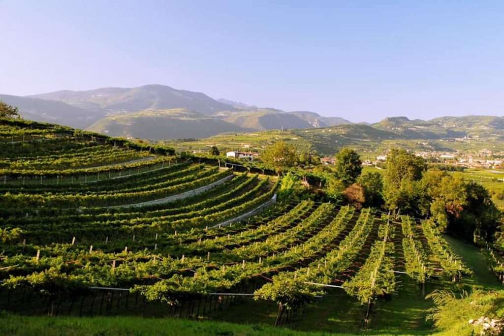Valpolicella debutta in Laguna con un evento di promozione dedicato al rosso di territorio VALPOLICELLA