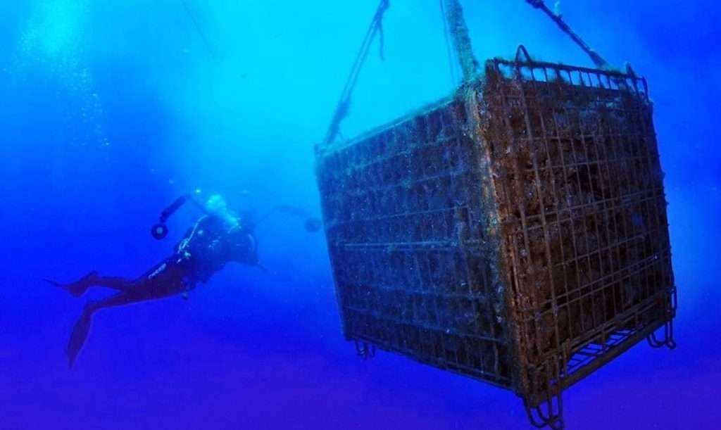 In Molise nasce il primo vino “subacqueo” affinato a 38 metri di profondità underwater wine molise