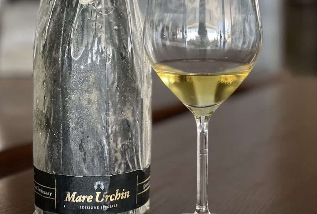 Bolle in fondo al mare, la masterclass che racconta nuovi processi di ricerca nel mondo degli spumanti 3 urchin