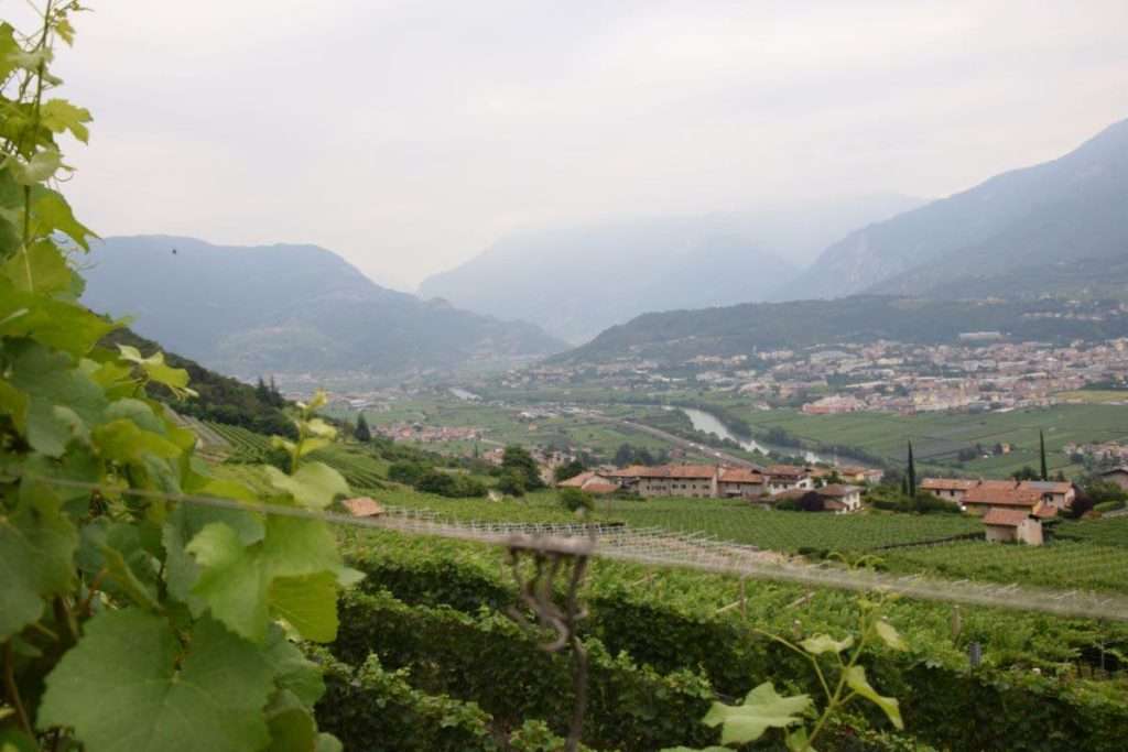 1Isera FototecaStradaVinoSaporiTrentino PhMFacci lr
