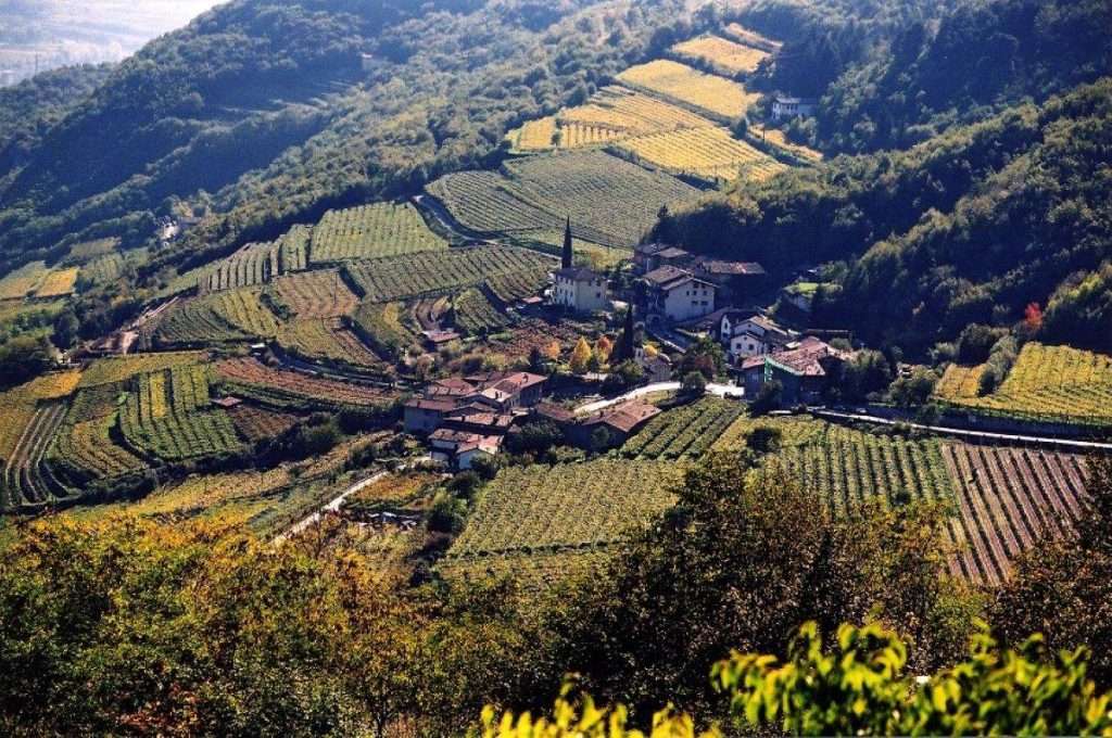 Cantina Isera 1