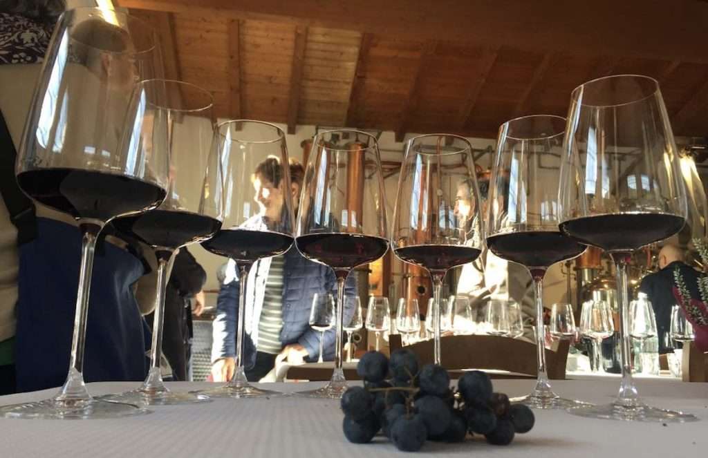 In Trentino arriva l'autunno all'insegna dell'enoturismo 2 DiVinOttobre FototecaStradaVinoSaporiTrentino PhMFacci