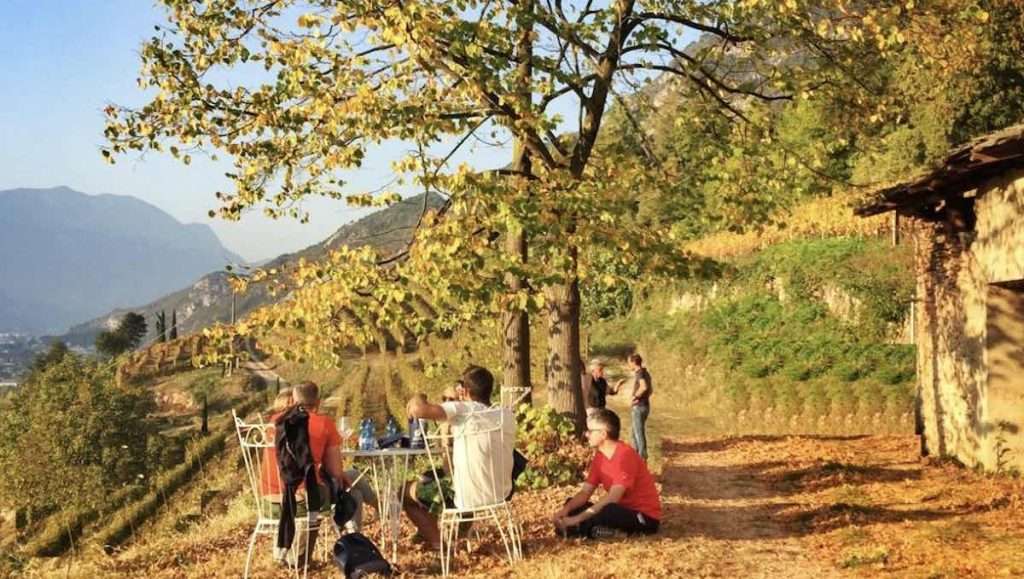 In Trentino arriva l’autunno all’insegna dell’enoturismo divin ottobre
