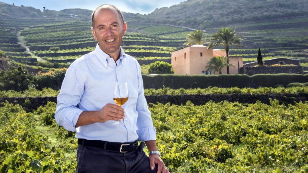 Consorzi Italiani: ecco la panoramica della vendemmia 2023 1 image 11