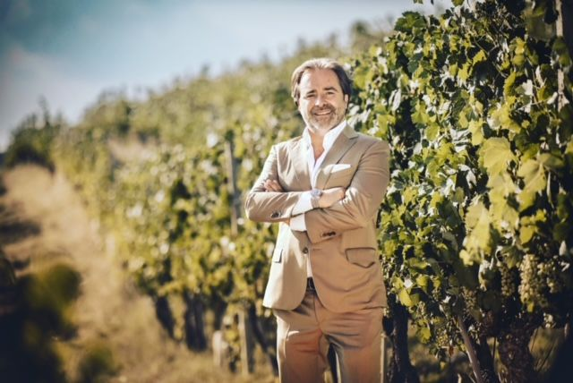 Consorzi Italiani: ecco la panoramica della vendemmia 2023 2 image